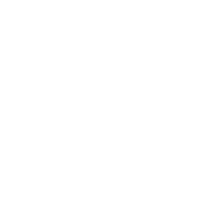 curriculum icon
